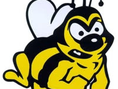 Medina City Schools