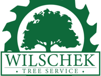 Wilschek Tree Service